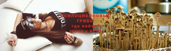 mdpv Бронницы