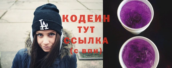 дживик Бородино