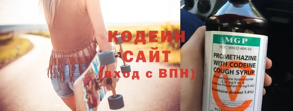 дживик Бородино