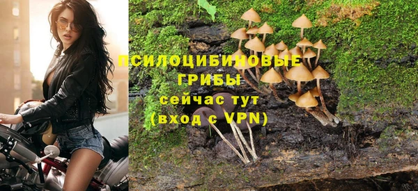 ALPHA-PVP Бугульма