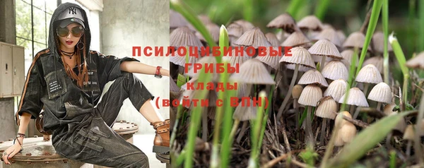 ALPHA-PVP Бугульма