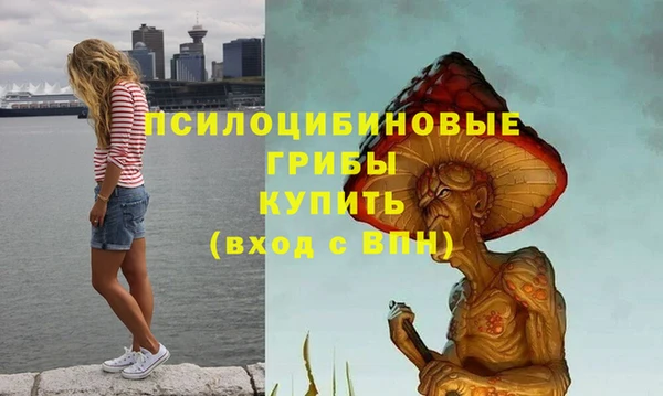дживик Бородино