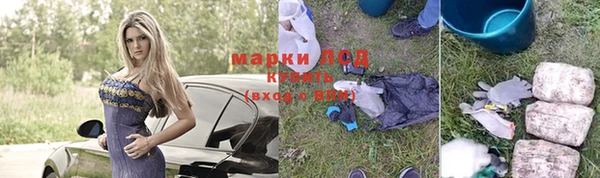 дживик Бородино