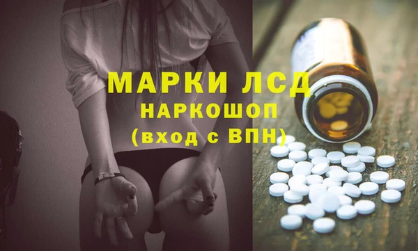 дживик Бородино